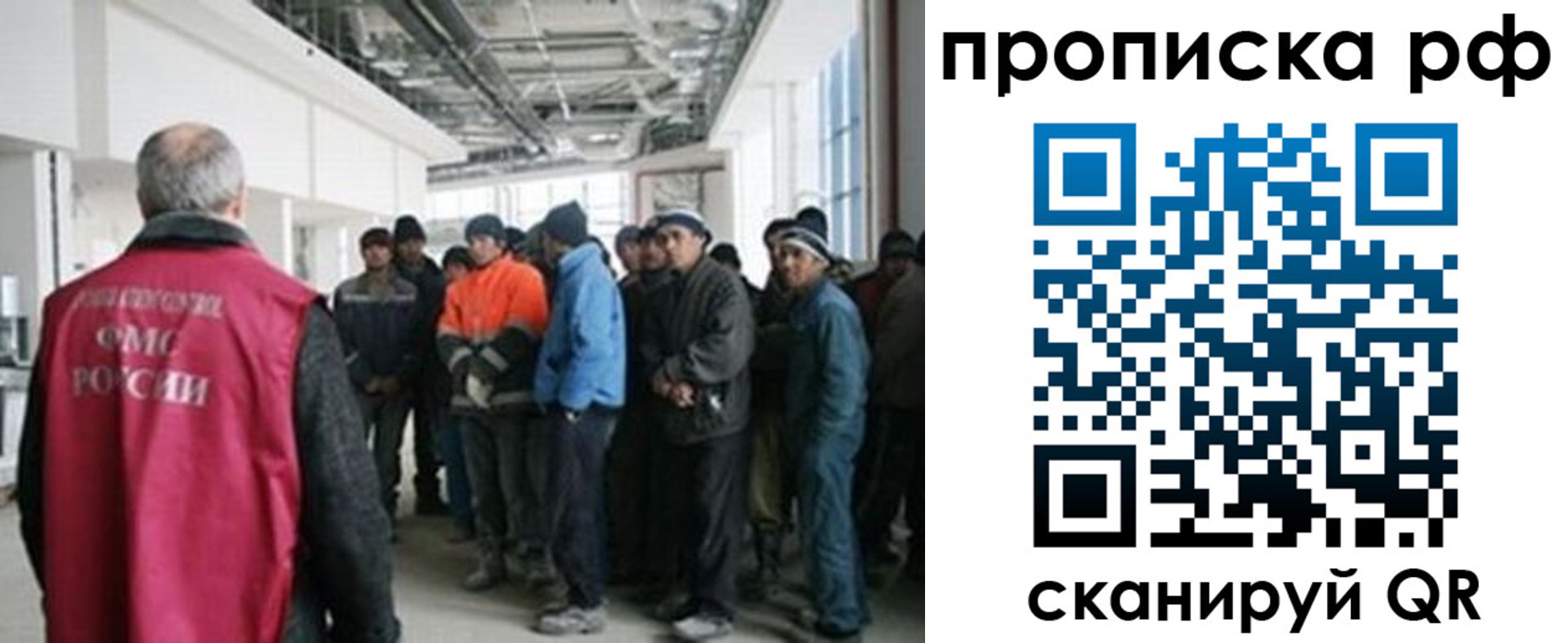 прописка поиск в Невеле